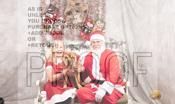 Chinese Shar Pei Sun-_MJ_7938-DallasDec2021_HR3