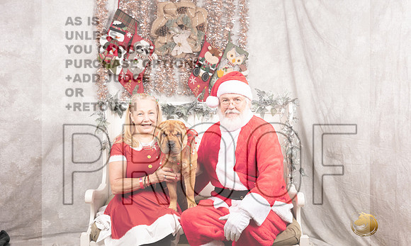 Chinese Shar Pei Sun-_MJ_7940-DallasDec2021_HR3