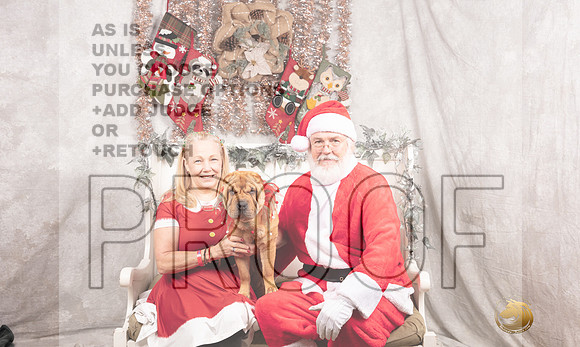 Chinese Shar Pei Sun-_MJ_7941-DallasDec2021_HR3