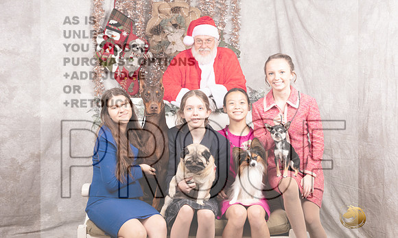 Doberman Pinscher Sun-_MJ_7928-DallasDec2021_HR3