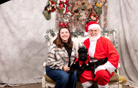 Giant Schnauzer Sat Alison Paris