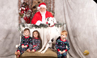 Great Dane Sun Family