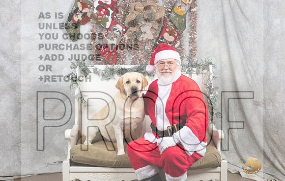 Labrador Retriever Sat Oscar-_MJ_7454-DallasDec2021_HR3