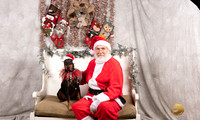 Manchester Terrier Sun Jay Dietz