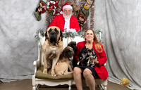 Mastiff Fri Patty Vargas