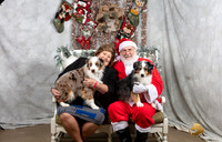 Miniature American Shepherd Fri Irene Haefner