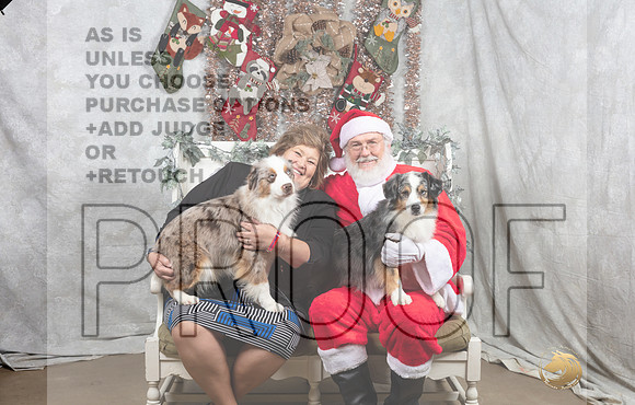 Miniature American Shepherd Fri Irene Haefner-_MJ_7377-DallasDec2021_HR3