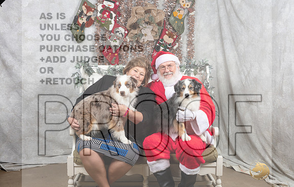 Miniature American Shepherd Fri Irene Haefner-_MJ_7381-DallasDec2021_HR3