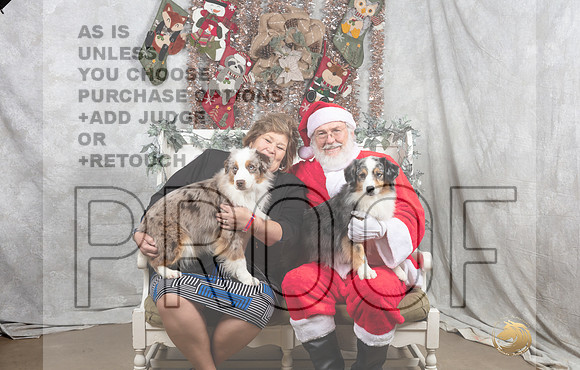 Miniature American Shepherd Fri Irene Haefner-_MJ_7380-DallasDec2021_HR3