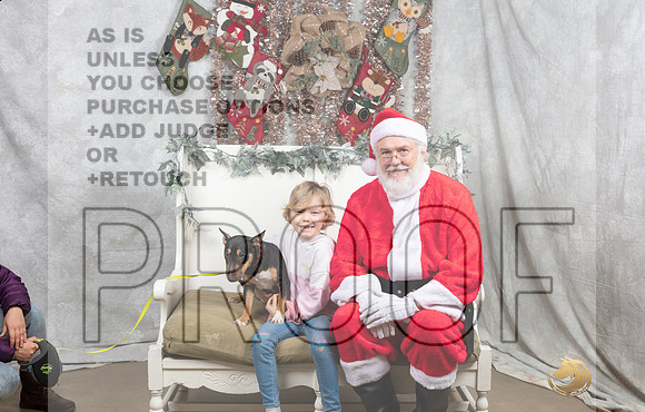 Miniature Bull Terrier Fri Vicki-_MJ_7200-DallasDec2021_HR3
