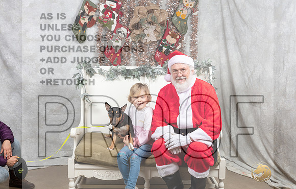 Miniature Bull Terrier Fri Vicki-_MJ_7207-DallasDec2021_HR3