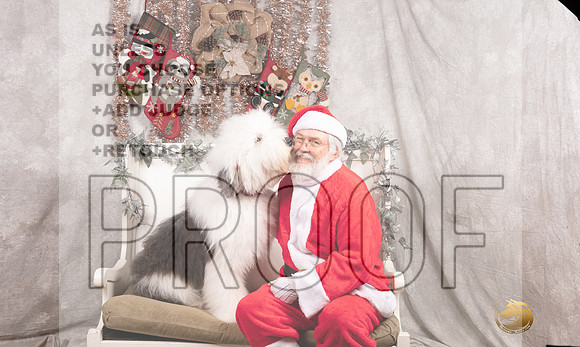Old English Sheepdog Sun Kristen Darley-_MJ_8144-DallasDec2021_HR3