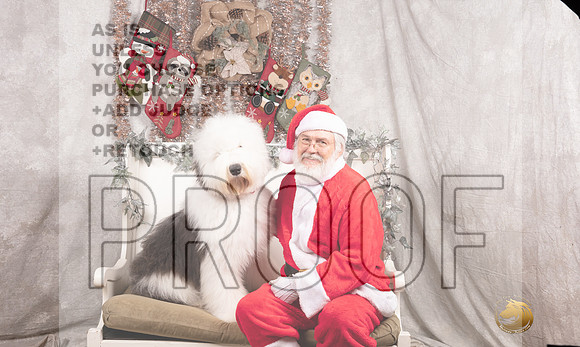Old English Sheepdog Sun Kristen Darley-_MJ_8149-DallasDec2021_HR3