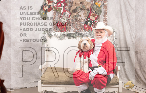 PBGV Sat Picasso Brianne Major-_MJ_7706-DallasDec2021_HR3