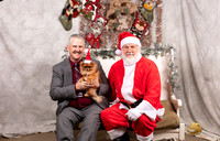 Pomeranians Sat Mike Armstrong