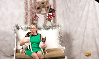 Rat Terrier Sun Felicity