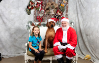 Rhodesian Ridgeback Fri