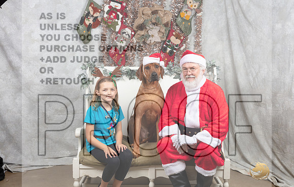 Rhodesian Ridgeback Fri-_MJ_7235-DallasDec2021_HR3