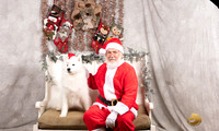 Samoyed Sun Lance Rankin