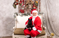 Scottish Terrier Sat Cucu