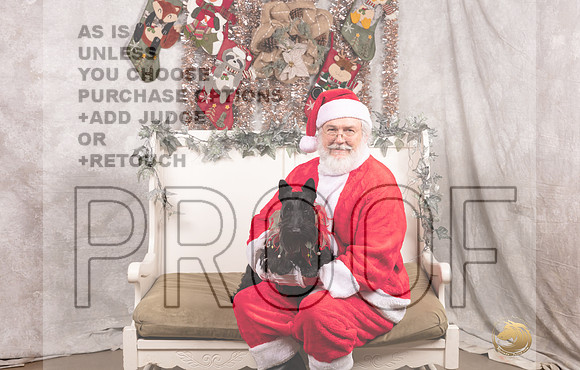 Scottish Terrier Sat Cucu-_MJ_7567-DallasDec2021_HR3