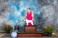 Russell Terrier #6 Sun G2 Judge Elizabeth ‘Beth’ Sweigart