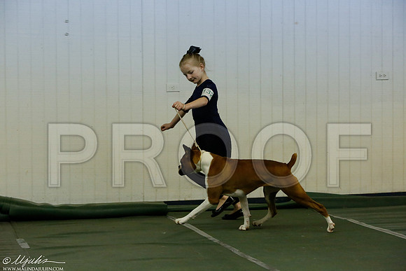 _MJ_3911-DentonMar2015-HR3