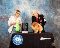 Annette Rister Houston Toy 2022