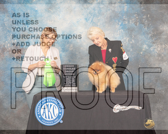 Pomeranian #41 Sat OHG2 Judge Carolyn Horowitz-_MJ_0284-HR3