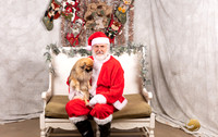 Tibetan Spaniel Thurs