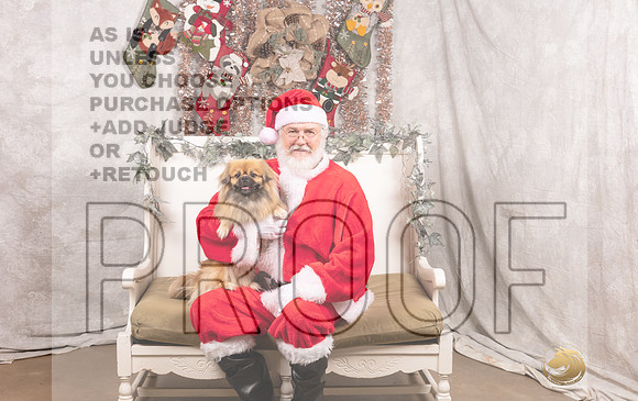 Tibetan Spaniel Thurs-MMJ_6802-DallasDec2021_HR3