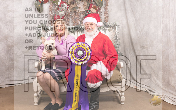 French Bulldog Thurs Tonya-MMJ_6818-DallasDec2021_HR3