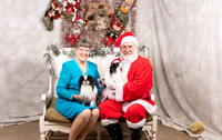 Japanese Chin Thurs Jan Lockyer