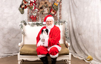 Japanese Chin Thurs Ronda