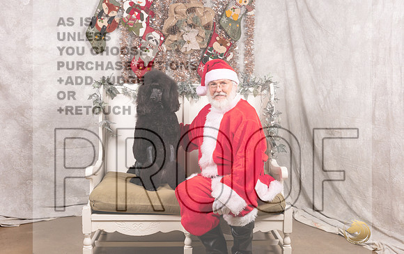 Poodle Std Thurs 2-MMJ_6901-DallasDec2021_HR3