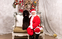Poodle Std Thurs Susan Howard