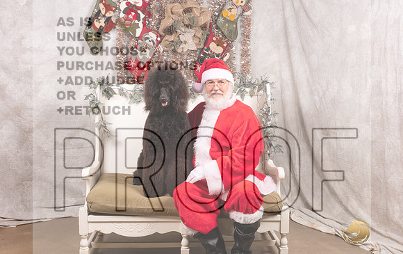 Poodle Std Thurs Susan Howard-MMJ_6884-DallasDec2021_HR3