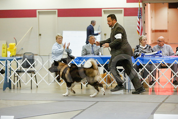 _JJ_5599-AmarilloSept2014-HR3