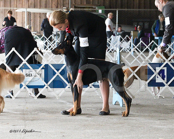 Jr.Dobe-9725
