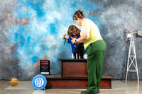 Affenpinscher #6 Sun G2 Judge Sharron Derrick