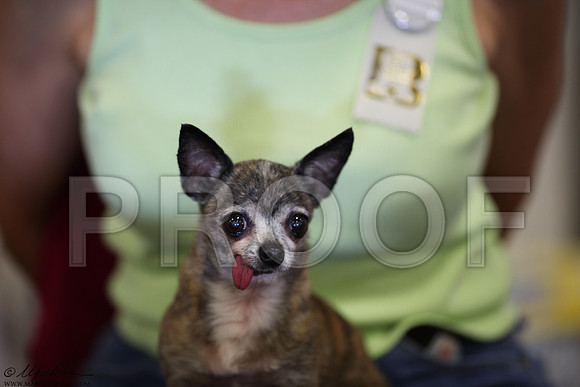 DeborahShibley-0334LR