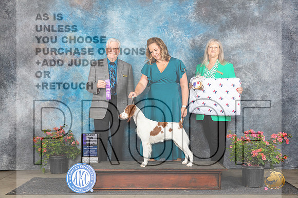 Brittany #6 Sat WBM Judge Robert E Stein__JP_5043_San Antonio_2024_HR3
