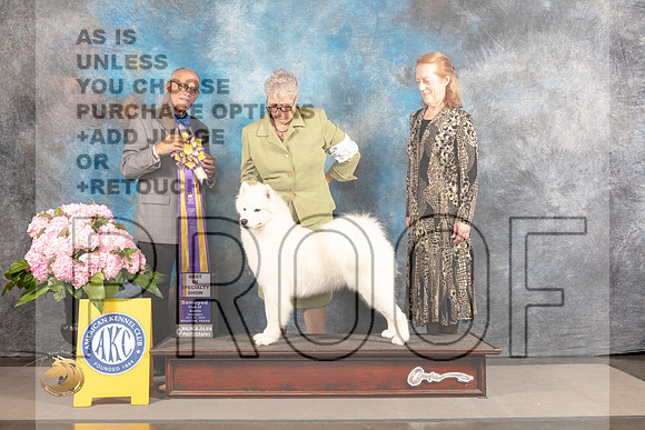 Samoyed #10 THUR BISS Judge Luis Sosa_MJ_3989_Houston_2022_HR3