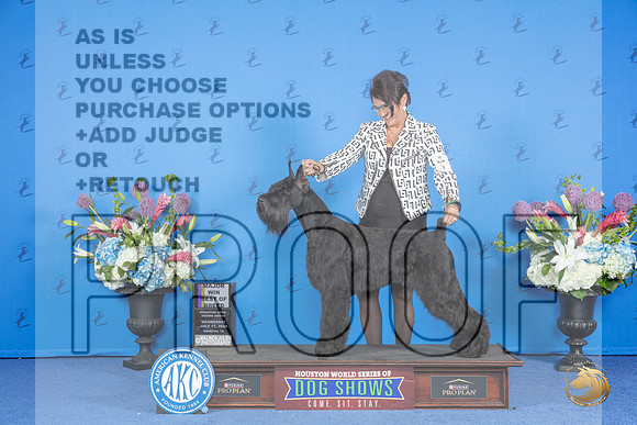 Schnauzer Giant # FRI BOB M Judge Douglas Johnson__JP_9622_Houston_2024_HR3