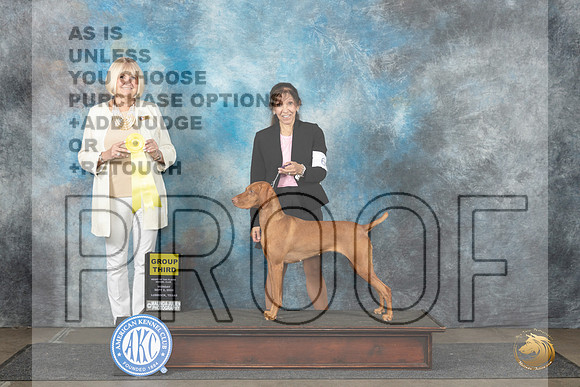 Vizsla #6 Mon G3 Judge Debra Thornton__JP_4563_Lubbock_2024_HR3