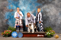Bulldog #23 Sun BOWOHBOB Judge Debra Thornton