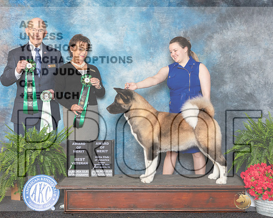 Akita #14 Fri AOM Judge Pamela Lambie-_JP_1599e_FWKC2024-HR3