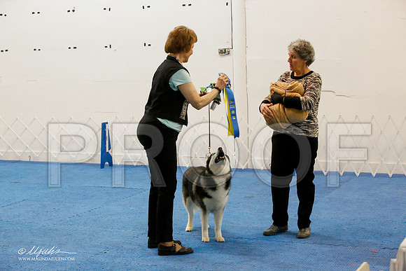 _M3_8062-AddisonHuskyMar2015-HR3