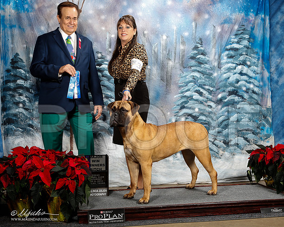 ST84482DallasDec2014HR3