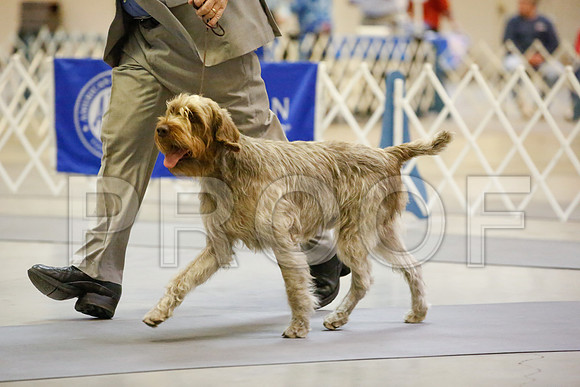 _JJ_7059-AmarilloSept2014-HR3